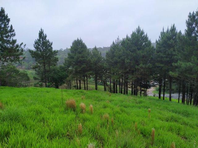 Terreno 40.000m2 em Juquitiba/SP para loteamento - Foto 14