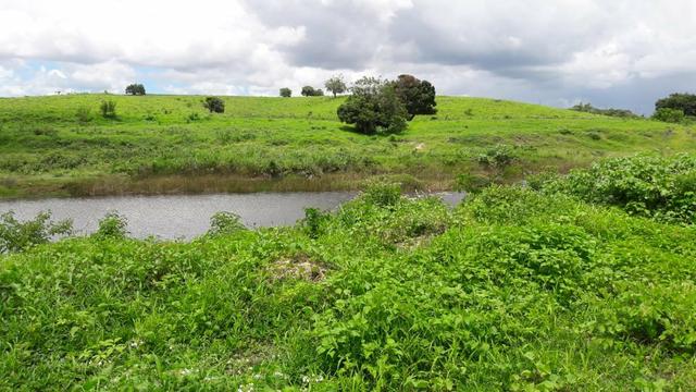 Fazenda com 170 hectares na região de monte alegre - Foto 15