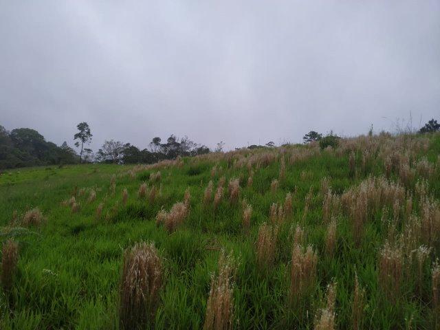 Terreno 40.000m2 em Juquitiba/SP para loteamento - Foto 11