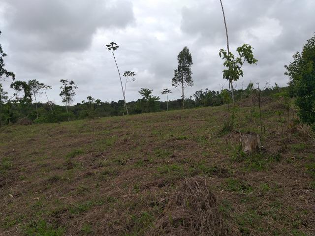 Permuta terreno para chacrinha de 6 mil medindo 30 x 200 de fundos - Foto 19