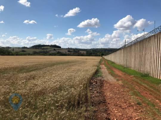 Alugue sítio de 48400 m² (esperança, londrina-pr) - Foto 4