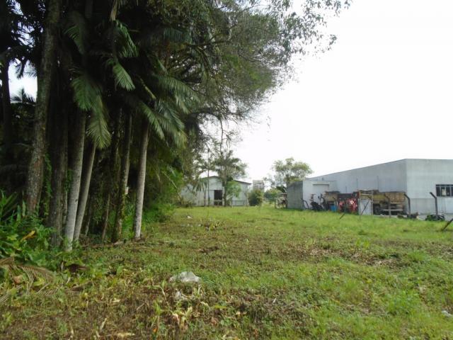 Terreno para alugar em Pirabeiraba, Joinville cod:00444.007 - Foto 4