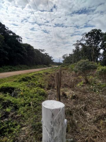 Sítio em Araquari aceito troca - Foto 11