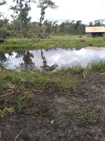 Sítio em Araquari aceito troca