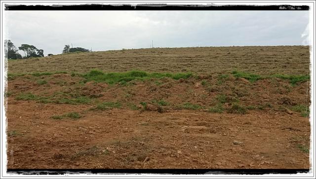 Vendo com urgência meu terreno em Ibiúna - Foto 6