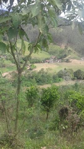 Sitio - Foto 6