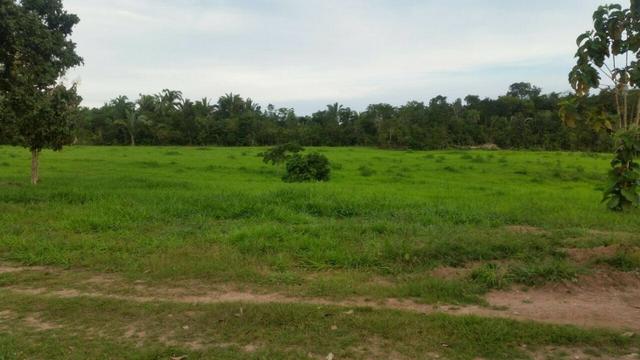 Fazenda em Rosario Oeste - 457ha - Foto 8