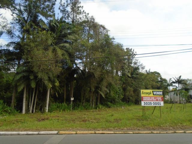 Terreno para alugar em Pirabeiraba, Joinville cod:00444.007