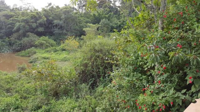 Chácara rural à venda, vila belmira, itapevi - ch0010. - Foto 19