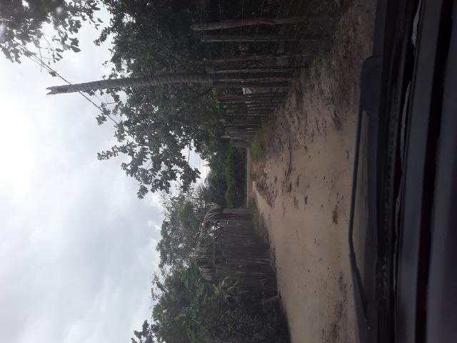 Terreno 30 x 120 com açude - Foto 7