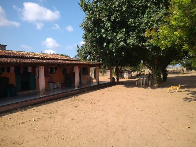 Excelente Sítio na Zona Rural de São José de Mipibu - Foto 3