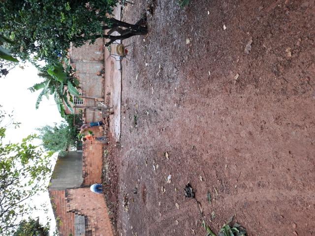 Lote - Foto 3