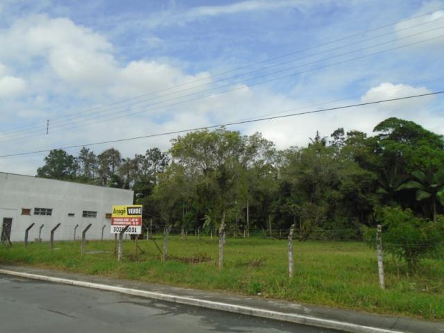 Terreno para alugar em Pirabeiraba, Joinville cod:00444.008 - Foto 12