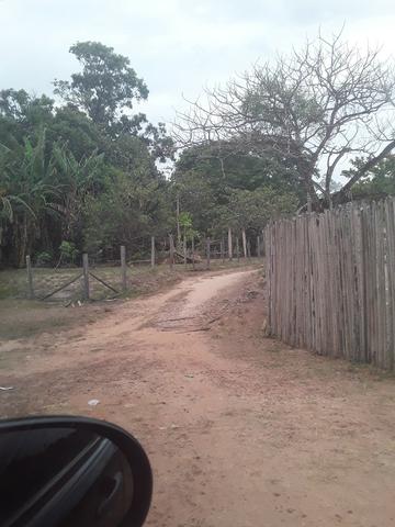 Terreno 30 x 120 com açude - Foto 10