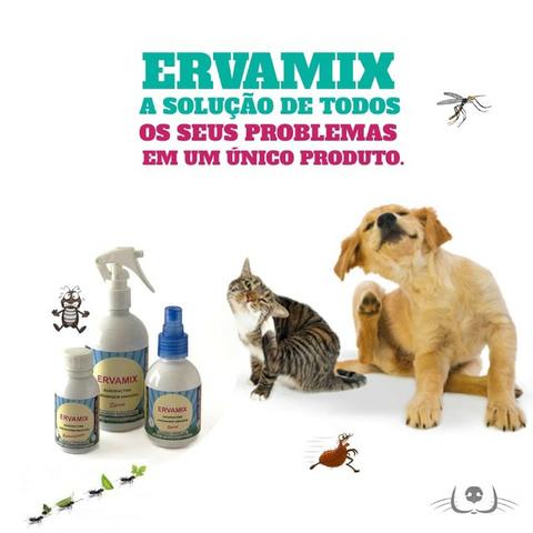 Ervamix. Repelente à base de citronela contra transmissor da dengue