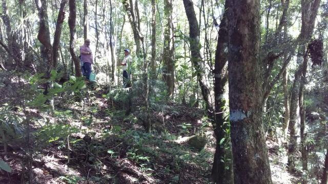 Chacara em Campo Magro casa 300mts Piscina est permuta Imoveis carros - Foto 16