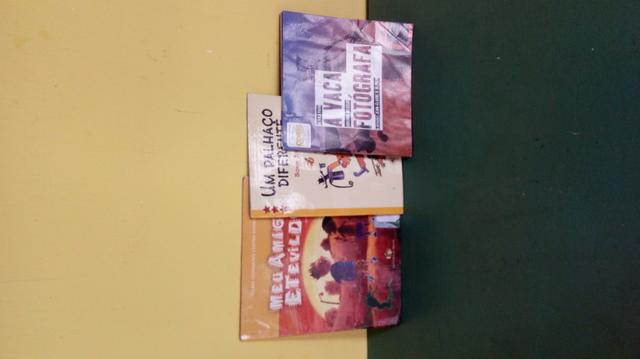 Livro paradidatico Vaca Fotógrafa adotado também pelo Colégio Dom Quintino