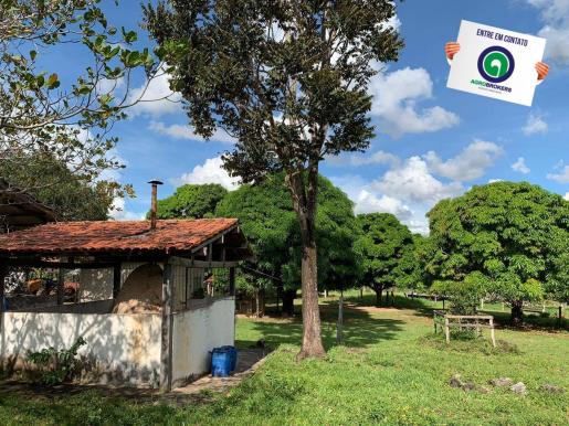 Fazenda 1.040 ha acorizal - Foto 17