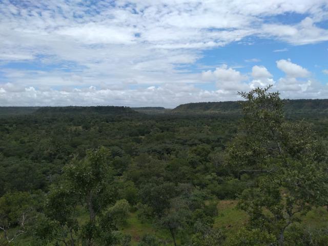 Propriedade Rural de 548 hectares de Mata e Cerrado - Foto 2