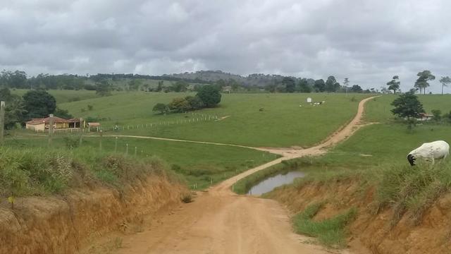 Fazenda a venda no extremo sul da bahia 170 ha - Foto 2