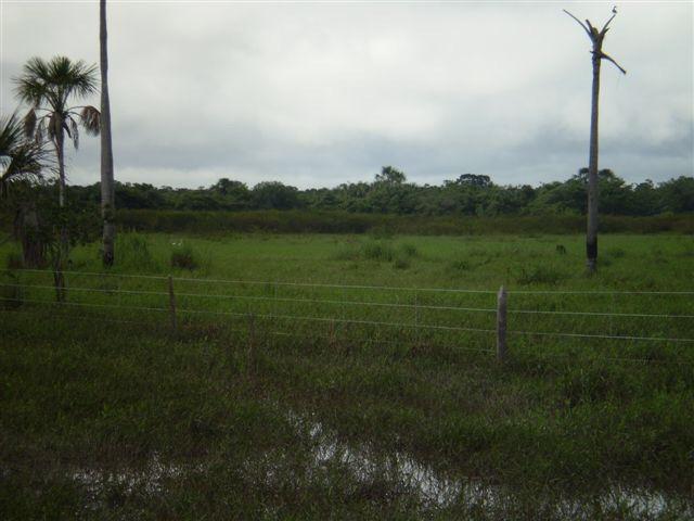 Fazenda dupla aptidão Arinos MG - Foto 9
