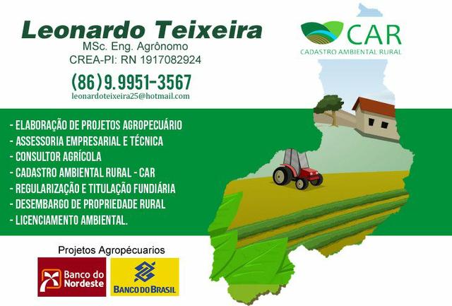 Consultor - Engenheiro Agrônomo