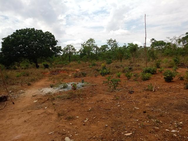 Venda - Foto 4