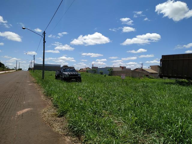 3 terrenos em frente p/rodovia em Ivinhema MS - Foto 3