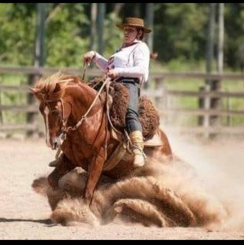 Cavalo Crioulo Inteiro Confirmado - Foto 3
