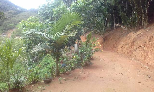 Vendo chácara próximo ao centro de Marechal Floriano - Foto 2