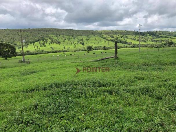 Fazenda com 4 dormitórios à venda, 310 alqueirão cidade de deus - cocalzinho de goiás/go