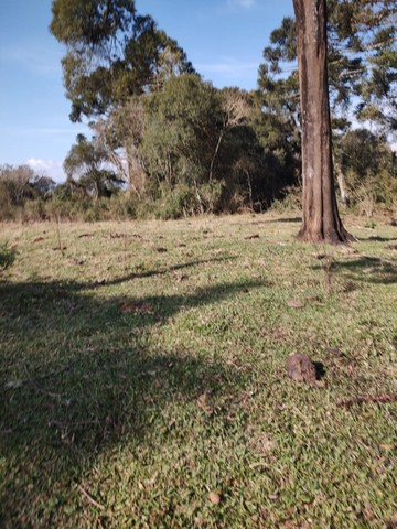 Chácara de 2 hectares à venda - Foto 4
