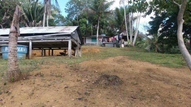 Cidade ilhéus região Japu, Sitio 72 hectares - Foto 9