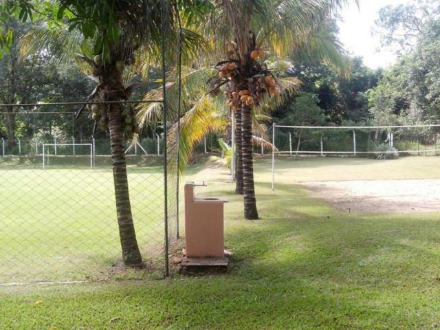 Chácara para alugar em Loteamento san fernando valley, Sao jose do rio preto cod:L968 - Foto 10