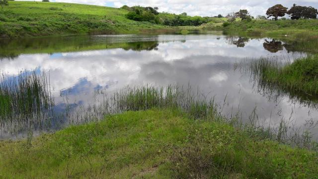 Fazenda com 170 hectares na região de monte alegre - Foto 5