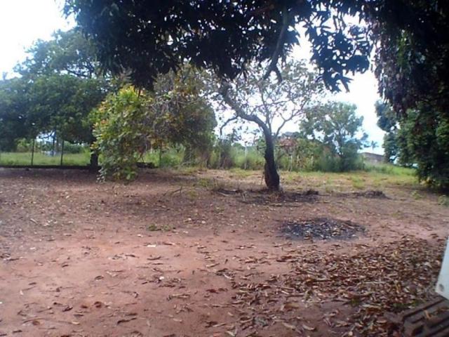 Chácara para alugar em Loteamento edem leste (zona rural), Sao jose do rio preto cod:L632 - Foto 6
