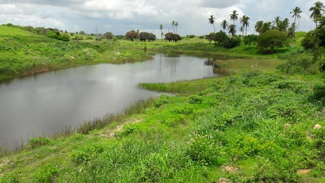 Fazenda com 170 hectares na região de monte alegre - Foto 17