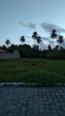 Vendo terreno em São Miguel dos Milagres
