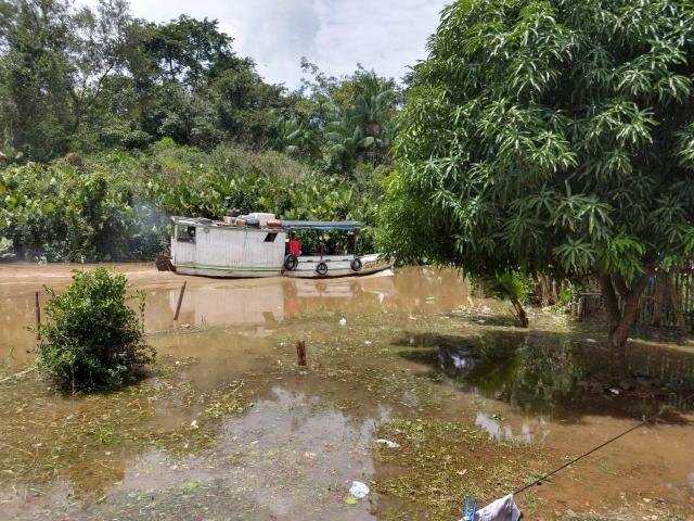 Vendo Alugo Sítio em Abaetetuba - Foto 2