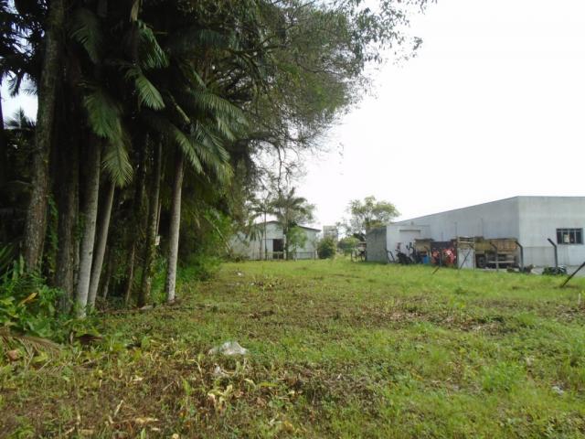 Terreno para alugar em Pirabeiraba, Joinville cod:00444.007 - Foto 5