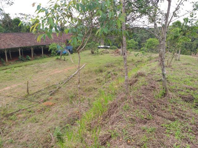 Permuta terreno para chacrinha de 6 mil medindo 30 x 200 de fundos - Foto 18