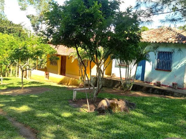Fazenda Sao Jose - Foto 18