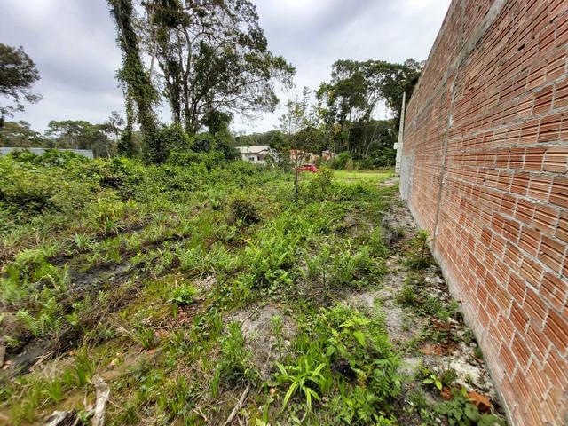 Terreno Itapoá - Foto 6