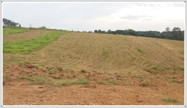 Terreno de 1000m² próximo de Tatuape - Foto 4