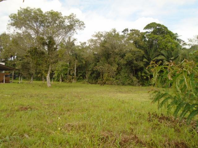 Terreno para alugar em Pirabeiraba, Joinville cod:00444.008 - Foto 7
