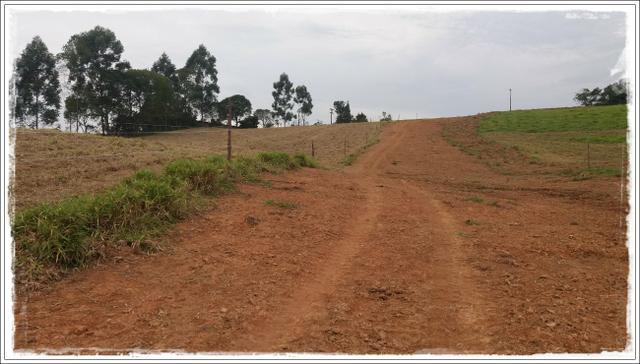 Vendo com urgência meu terreno em Ibiúna - Foto 2