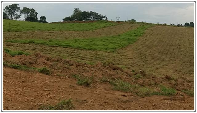 Terreno de 1000m² próximo de Tatuape