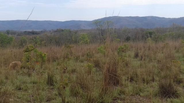 Sitio 55 km de Cuiabá distrito da guia