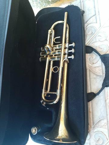 Vendo Instrumentos musicais