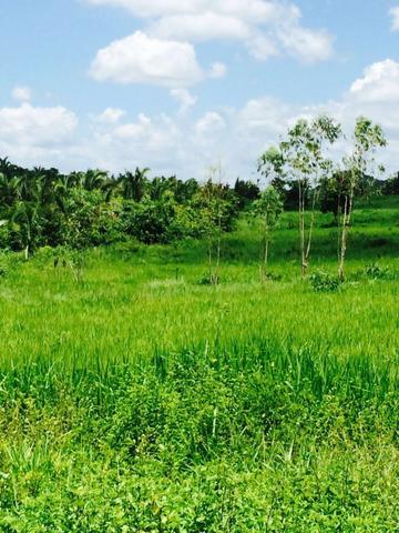 Fazenda em Rosario Oeste - 457ha - Foto 13